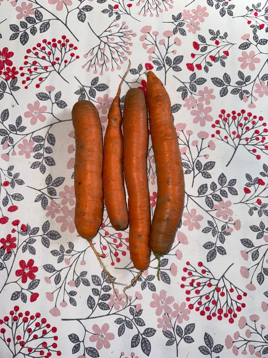 500g de Carottes