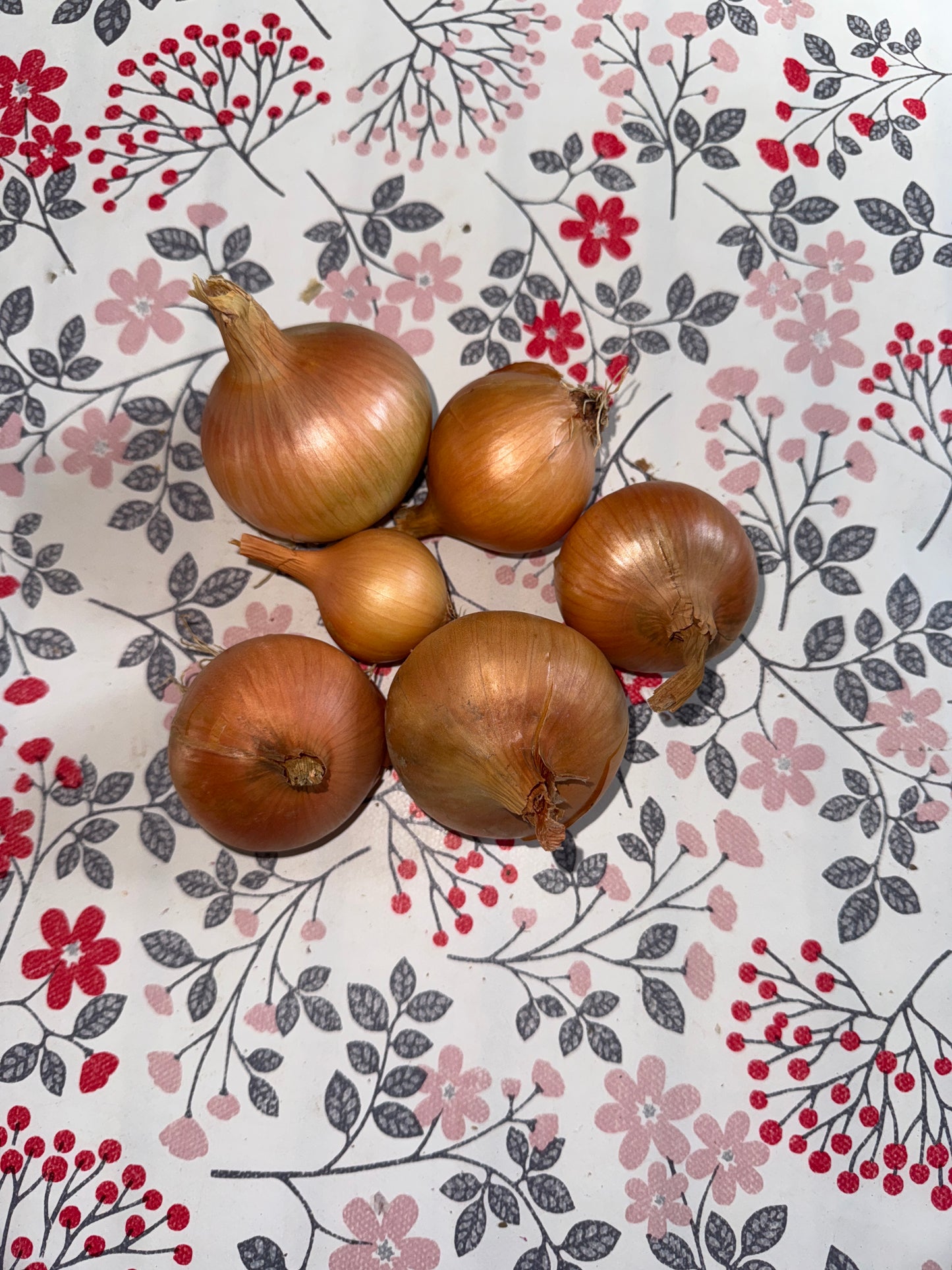 500g d’Oignons jaunes