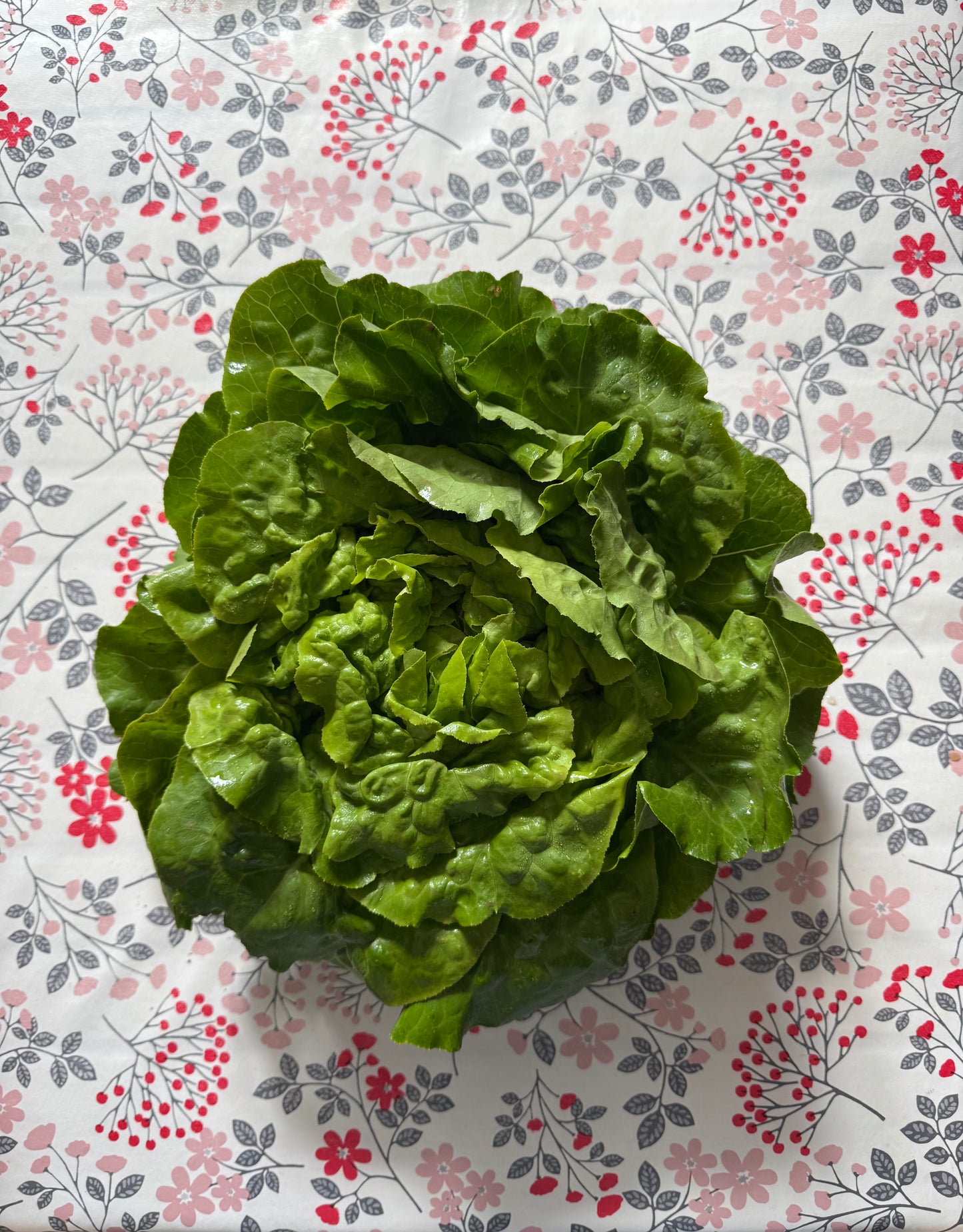 Le panier de saison