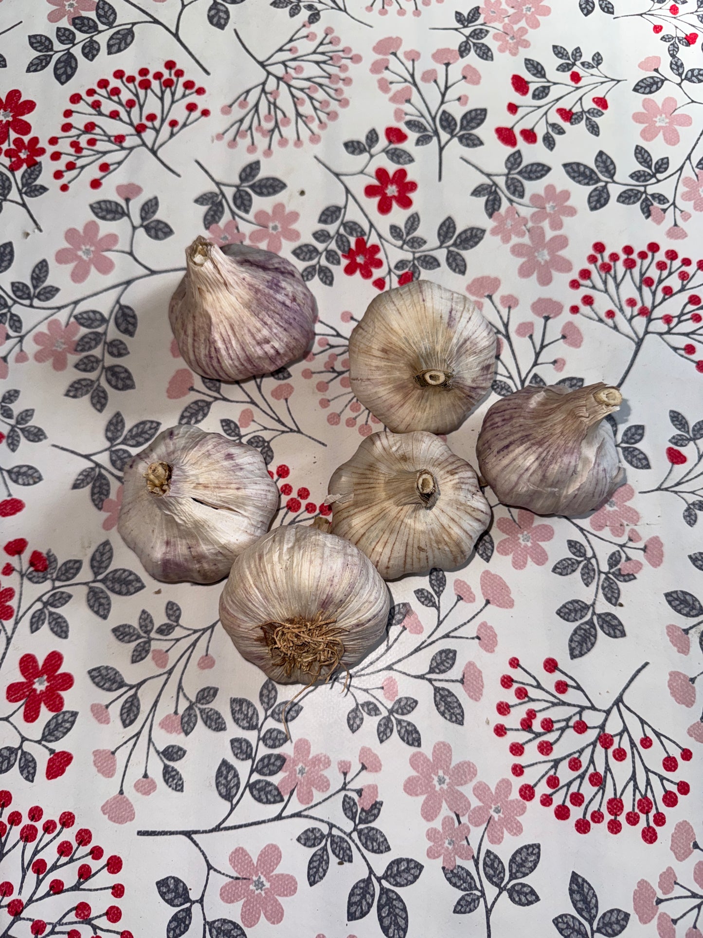 500g d’Ail
