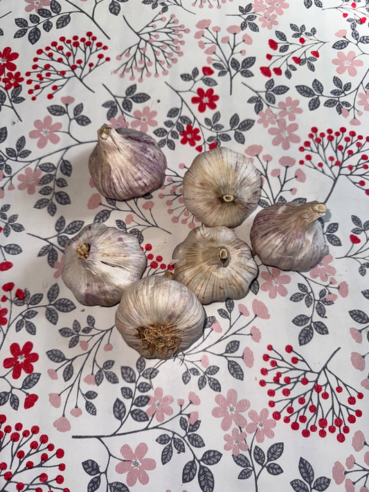 500g d’Ail