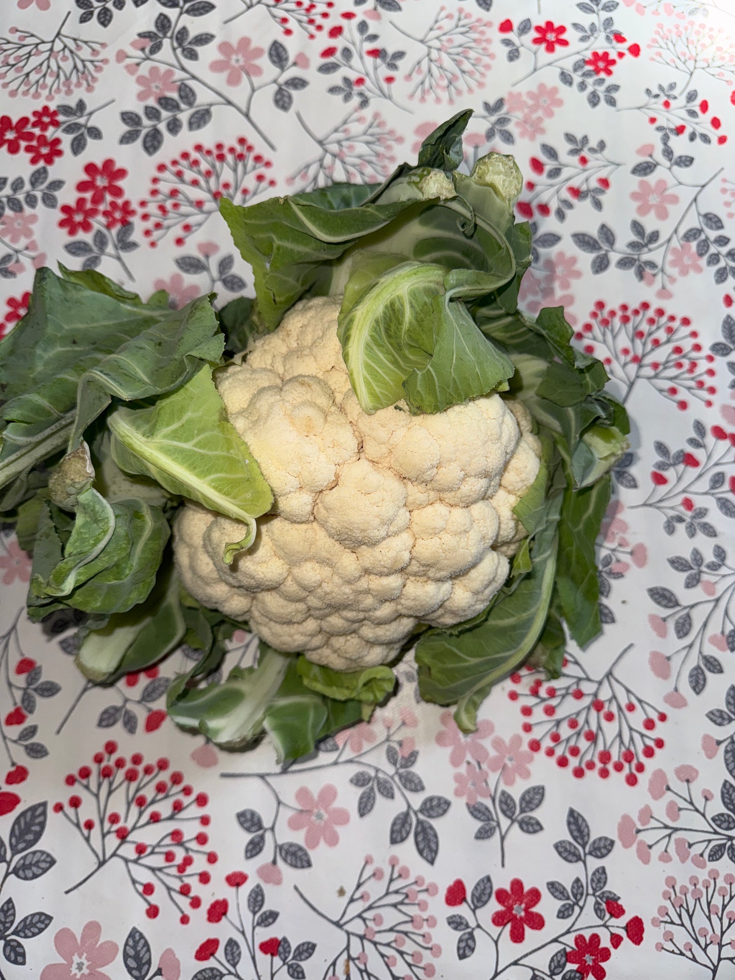 Choux-Fleurs (unité)