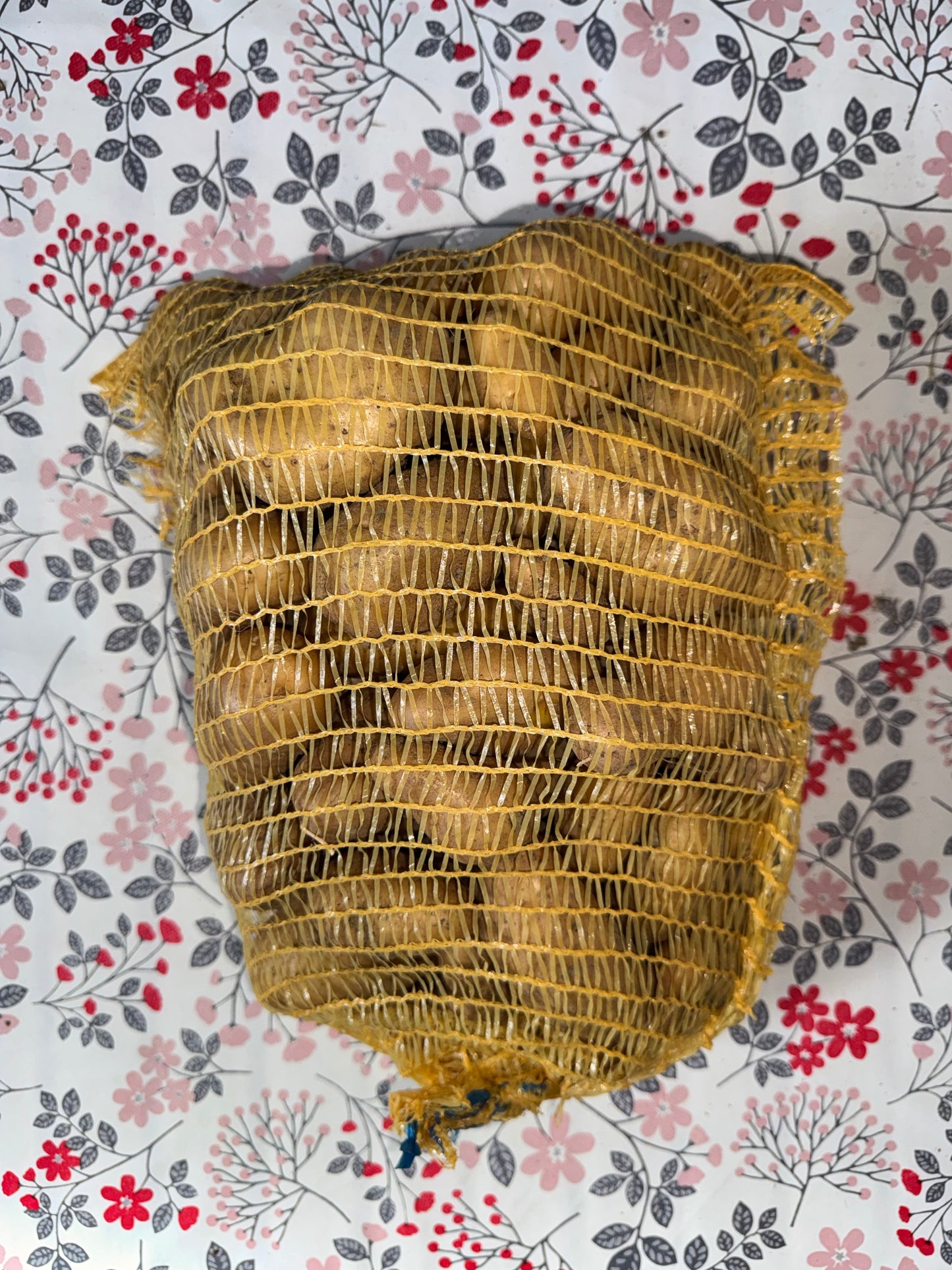 5kg de Pommes de Terre (pompadour)