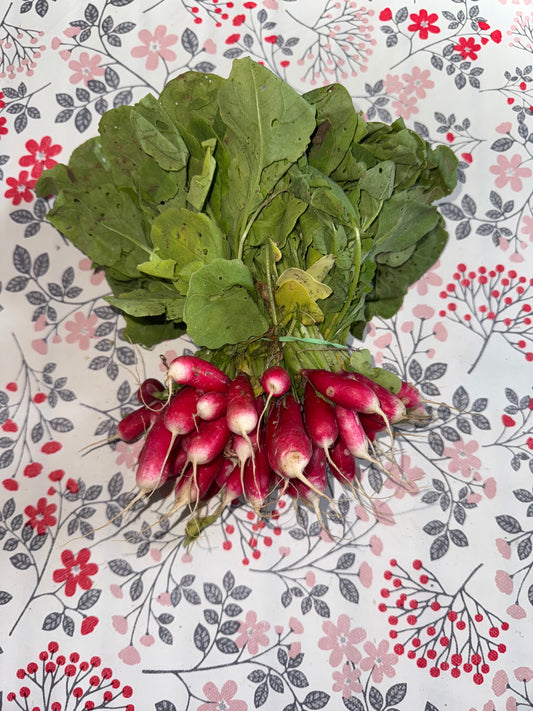 Botte de Radis (500g)