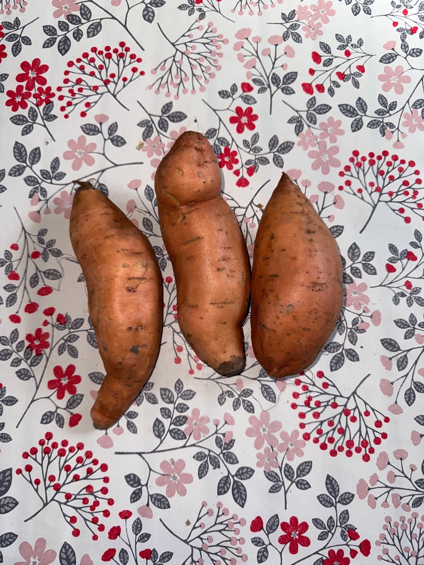 1kg de Patate Douce