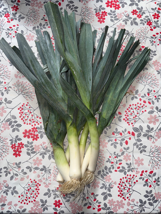 1kg de Poireaux