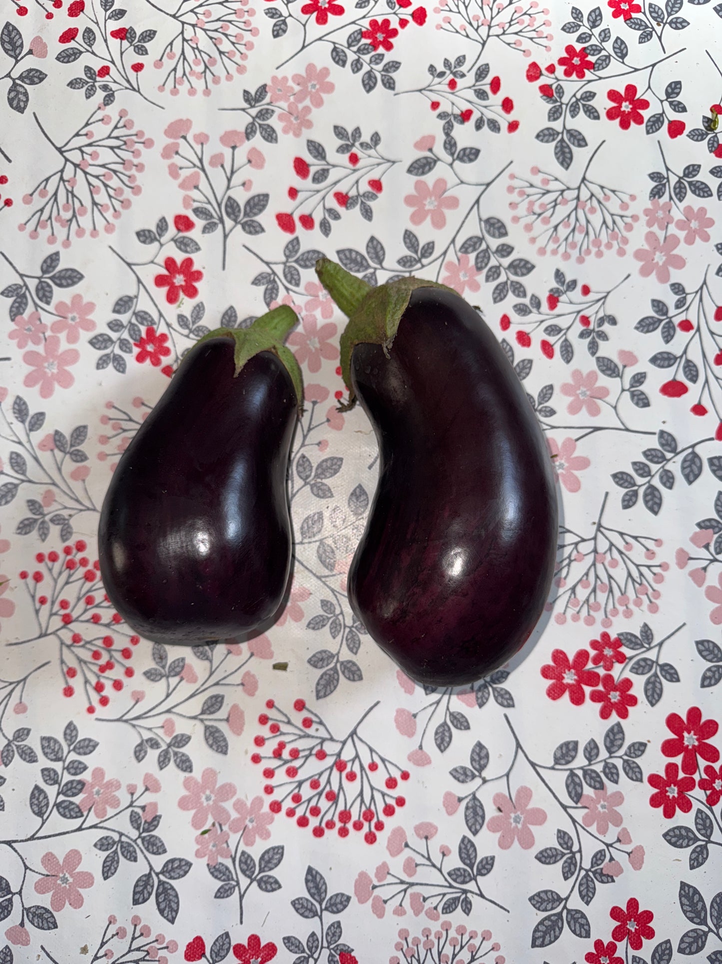 1kg d’Aubergines