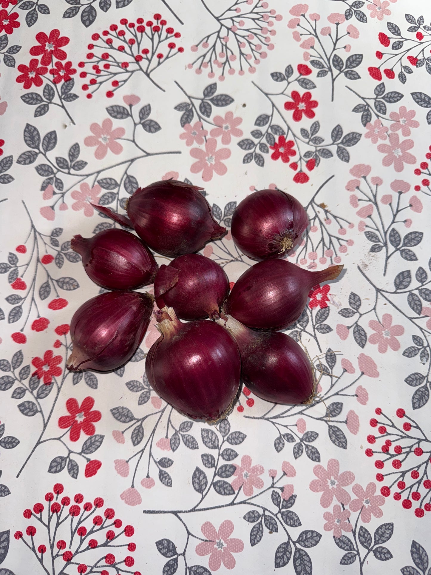 500g d’Oignons rouges