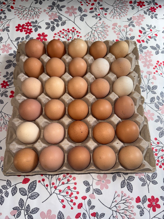 Oeufs par 30