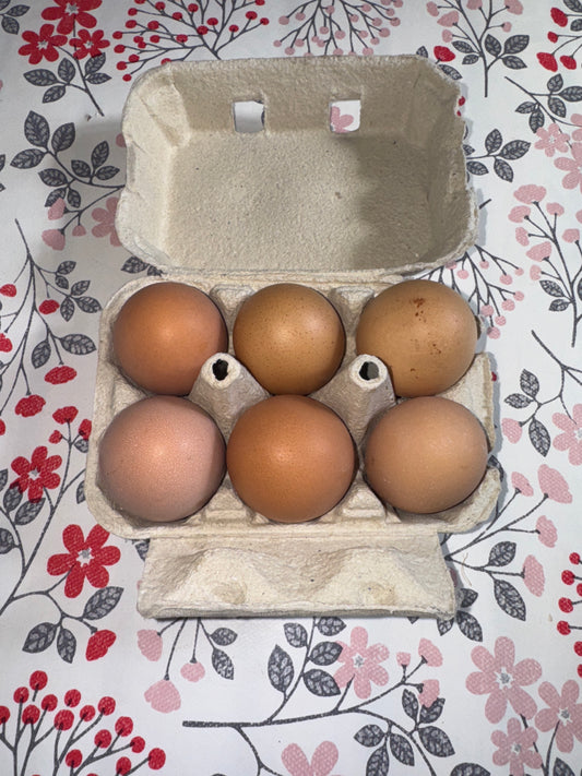 Oeufs par 6