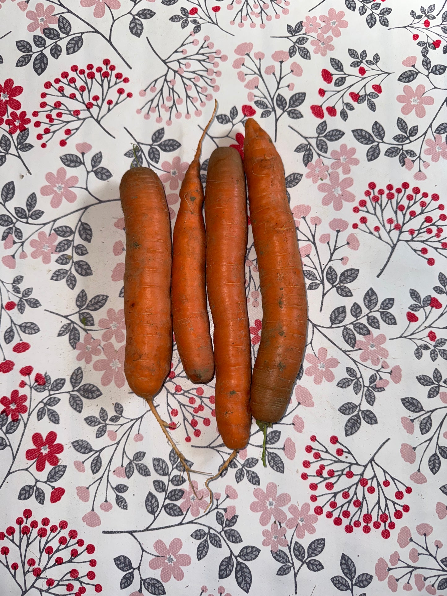500g de Carottes