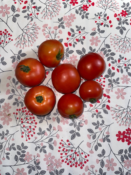 1kg de Tomates