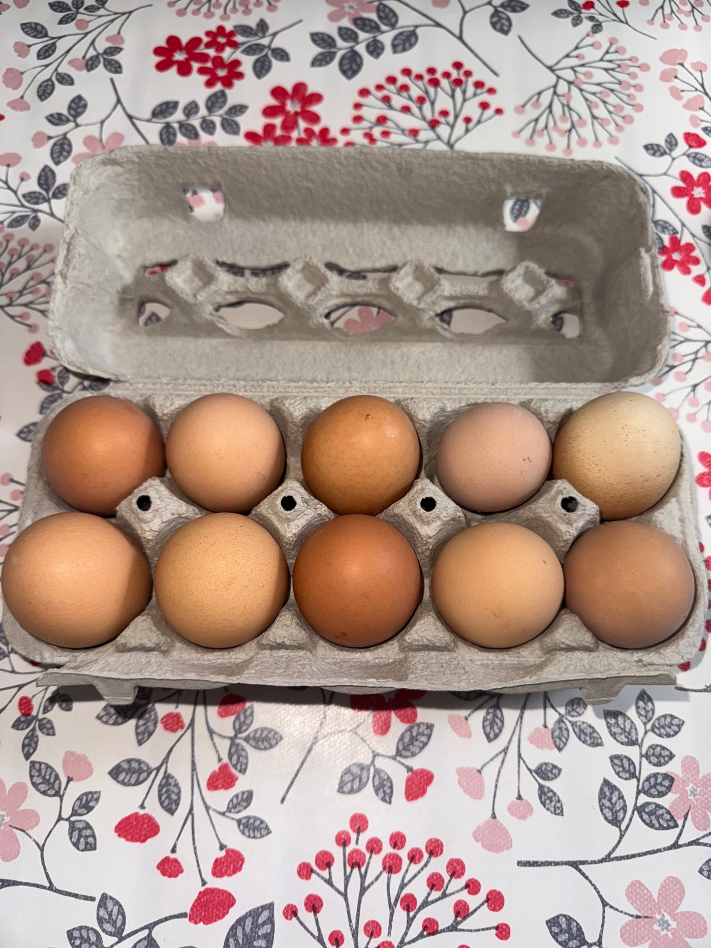 Oeufs par 10