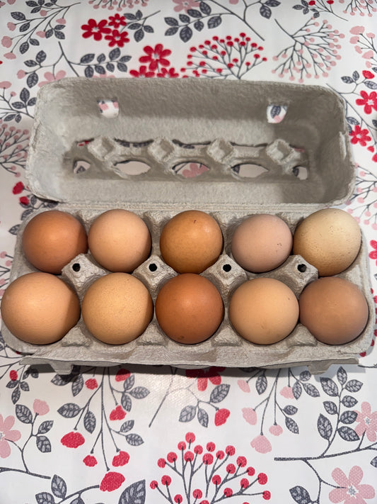 Oeufs par 10