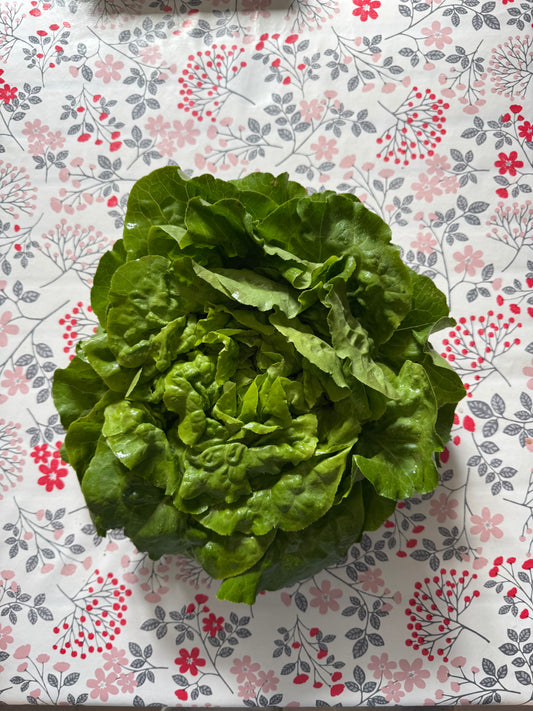 Salade