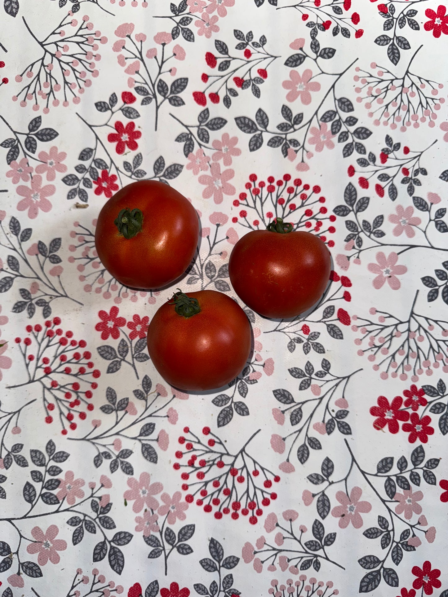 500g de Tomates