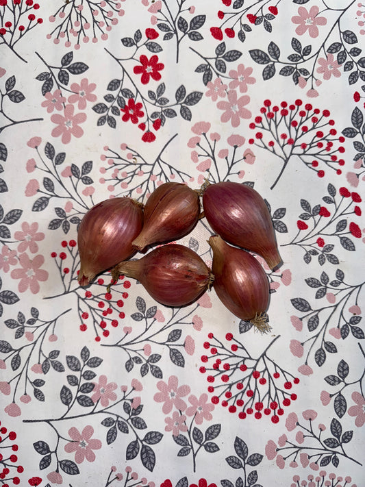 250g d’Échalotes