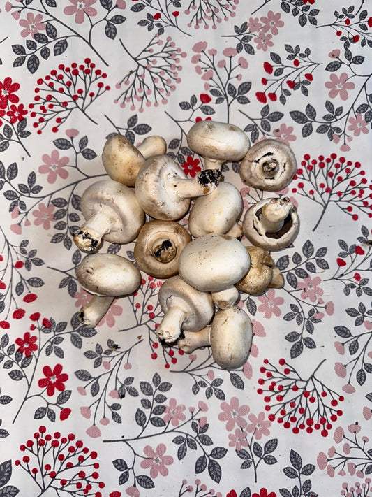 500g de Champignons