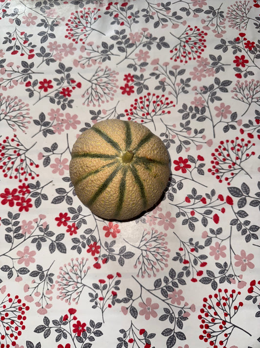 Melon (unité)