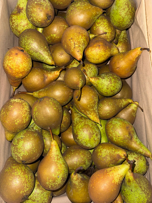 1kg de Poires
